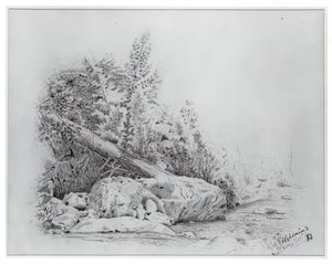 Fallen Tree, Keene Valley, 25 juli 1883. av Louis Michel Eilshemius