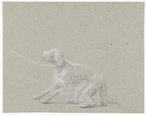 Hund i koppel