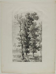 Studie av träd av Louis Pierre Baltard