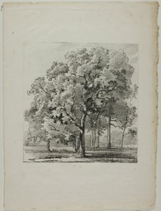 Studie av träd av Louis Pierre Baltard