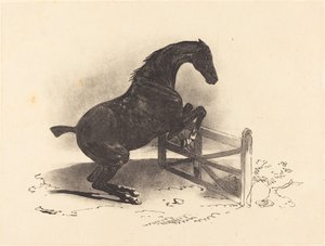 Häst som hoppar en barriär av Louis Pierre Marie Courtin after Théodore Gericault