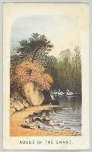 Abode of the Swans, från serien, Views in Central Park, New York, del 2, 1864.