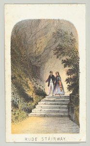 Rude Stairway, från serien, Views in Central Park, New York, del 2, 1864.