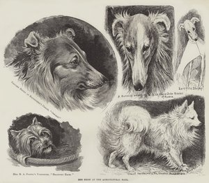 Hundutställning i Lantbrukshallen av Louis Wain