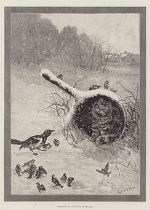 Besittning är nio punkter i lagen av Louis Wain
