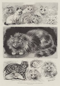 Pristagare på National Cat Club Show på Crystal Palace av Louis Wain