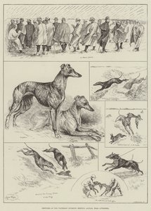 Skisser på Waterloo Coursing Meeting, Altcar, nära Liverpool (gravyr) av Louis Wain