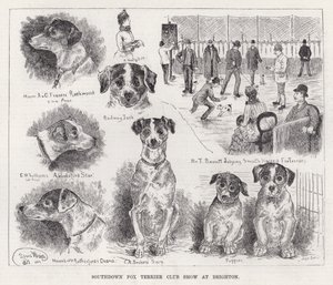 Southdown Fox Terrier Club Show i Brighton (gravyr) av Louis Wain