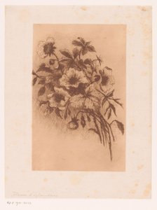 Blommor av Louise Elsen (attributed to)