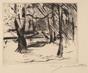 Träd med solträd i solen, 1920-1921. av Lovis Corinth
