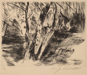 Björkar i Tiergarten av Lovis Corinth