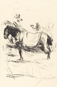 Reitpferd (rid-häst) av Lovis Corinth