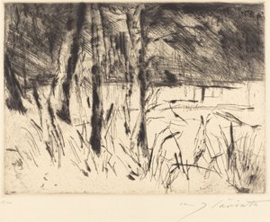 Tiergarten zoologiska trädgård, 1922. av Lovis Corinth