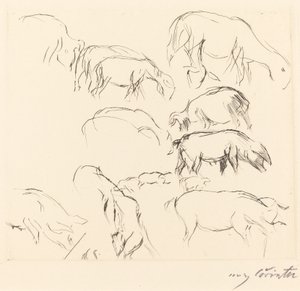 Olika djurstudier av Lovis Corinth