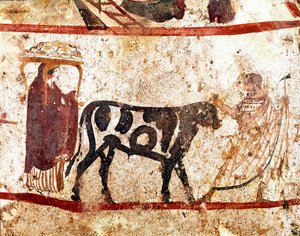 En tjur leder på altaret av offret Lucanian fresk från 400-talet f.Kr., från nekropolen Andriuolo i Paestum, Italien. Museo nazionale archeologico, Paestum