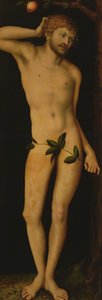 Adam, 1528 av Lucas Cranach the Elder