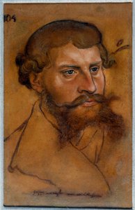 Porträtt av hertig Ernest IV av Sachsen, reformens prins Teckning av Lucas Cranach den gamle av Lucas Cranach
