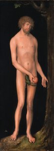 Tyska: Adam Adam av Lucas Cranach the Elder