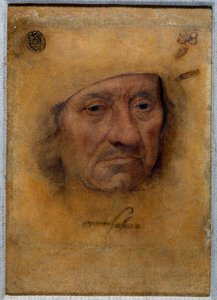 Porträtt av doktor Petrus von Clapis Teckning i pastell av Bruyn från skolan för Lucas Cranach den Gamle (eller den äldre) av Lucas the Elder Cranach