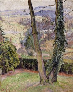 Frost and Mist, Summerleaze, East Knoyle av Lucien Pissarro