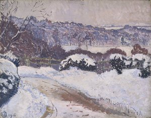 Dorking Road, Coldharbour, i snö