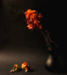  av Ludmila Shumilova