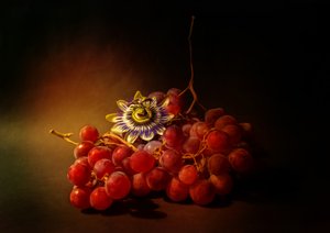  av Ludmila Shumilova