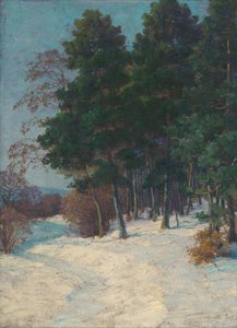 Skog på vintern