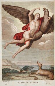 Ganymedes bars in i himlen eller Ganimede Rapito, Bok X, illustration från Ovidius
