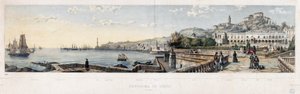 Panoramautsikt över staden Genua (litografi av Luigi Garibbo