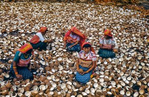 Ursprungsbefolkningen i Mulatas Archipelago på San Blas Islands knäcker kokosnötter för kopra...
