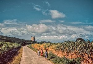 Nicaraguanska kvinnor bär korgar med produkter på sina huvuden på en landsväg mellan fält och...