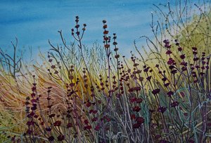Den livfulla vilda ängen
