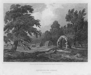 Newminster Abbey, Northumberland (gravyr)