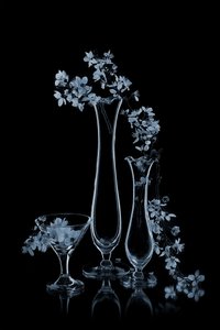 Blå blommor i glasvaser av Lydia Jacobs