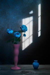 Fönsterljus med blå rosor av Lydia Jacobs