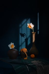 Påskliljor, citrusfrukter och skuggor