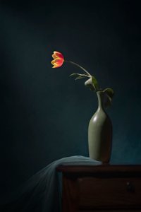 Mörkt blomsterstilleben av Lydia Jacobs