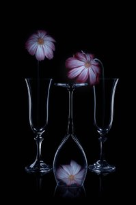 Skira blommor och glasflöjter av Lydia Jacobs