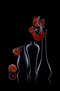 Elegant mörk flora