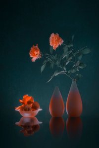 Elegant mörkt blommotiv av Lydia Jacobs