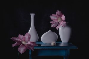 Elegant blomsterstilleben