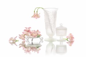 Elegant spegling av rosa blommor av Lydia Jacobs
