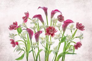 Färska rosa och vita blommor