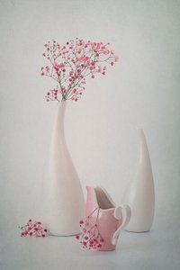 Skira rosa blommor av Lydia Jacobs