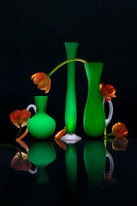Lysande blomvaser av Lydia Jacobs