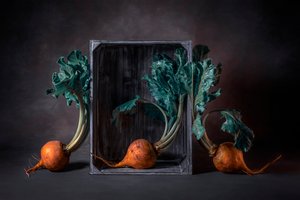 Rustikt stilleben med gula rödbetor