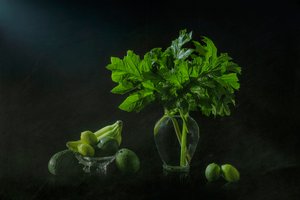 Frodigt botaniskt stilleben av Lydia Jacobs