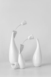 Minimalistiska vita tulpaner av Lydia Jacobs