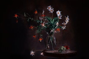 Stämningsfullt blomstermotiv av Lydia Jacobs